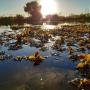 Our Man made ECO FRIENDLY dam pic 4