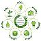 Permaculture-Living