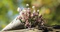 Herbalist Healer | Muthi For life +27797464259