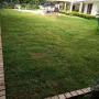 Instant Lawn installed