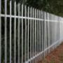 Buy palisade fencing from factory - Palisade Fencing Pros.jpeg