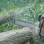 tree felling pros - Tree Felling- Machinery and equipment.jpg