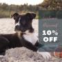 Welcome Discount