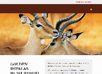 Golden Impalas Bush Resort