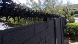 Star Security Spikes®