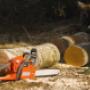 tree felling pros - Tree Felling- Logs.jpg