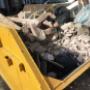 Price of Skip Hire 1.jpg