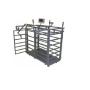 Livestock Scale