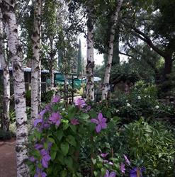 Imbali Nursery Benoni Zesfontein