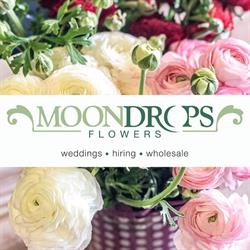 Moondrops Flowers