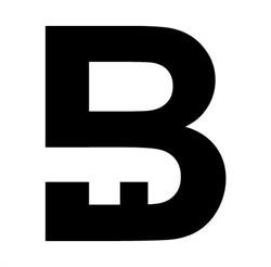 Bastion Development Group