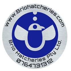 Brio Hatcheries egg Incubator supplier