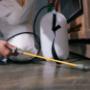 Domestic- Commercial- Pest Control.jpg