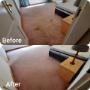 Professional Carpet Cleaning Services Johannesburg