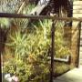 Glass balustrades