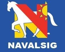 Navalsig High School