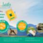 Rejuvenation Retreat 2022