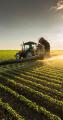 Meg ZA Impex Pty Ltd Food Stuff Trading