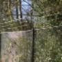 Wirewall security