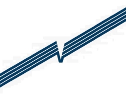 VICTORY INTEGRATED SYSTEMS