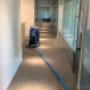 Carpet Cleaning Pros