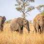 Africa Moja Tours & Transfers