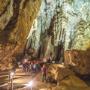 Africa Moja Tours & Transfers
