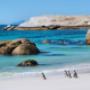 Africa Moja Tours & Transfers