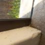 Ant Control Ruimsig | Pest Control Roodepoort