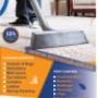 Pest Control and Carpet Cleaning in Randburg