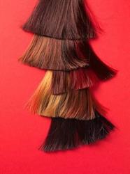 TK Hair Studio & Beauty Products