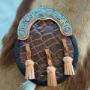Five shield Crocodile