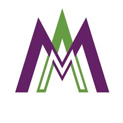 Msizi Mbili Accountants (Pty) Ltd