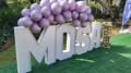 Marquee-Letters