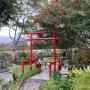 Bishopsford Bonsai
