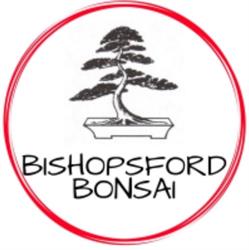 Bishopsford Bonsai