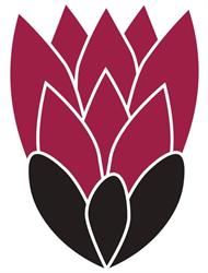 Protea/Aristata Boekwinkel Potchefstroom