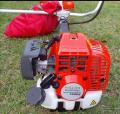 Willow 143R-11 Brush Cutter