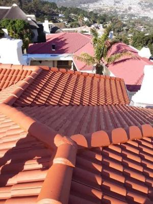 Roofing-cleaning