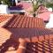 Roofing-cleaning