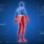 Body Scan
