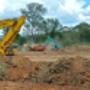 Land Clearing