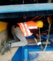 Revolutionizing Logistics  Africa Docking Services Leads with Innovative Dock Solutions