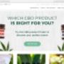 Featured work