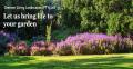 Garden Service & Landscape