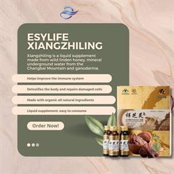 ESYLIFE PRODUCTS SOUTH AFRICA
