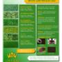 Instant Lawn Pricelist