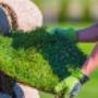 Instant Turf Randburg_Instant Lawn Supplierss