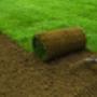 instant lawn randburg