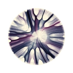 Sanguine Movement